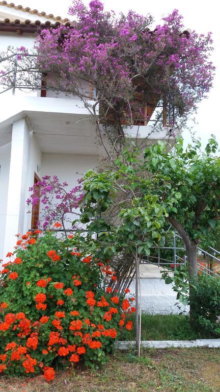 Theodore Apartments Захаро Екстериор снимка